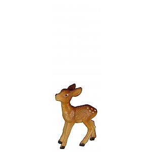 8118015 - Fawn standing
