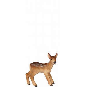 8132009 - Fawn standing