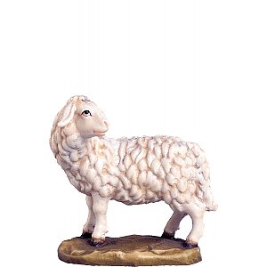 DE4047015 - Sheep