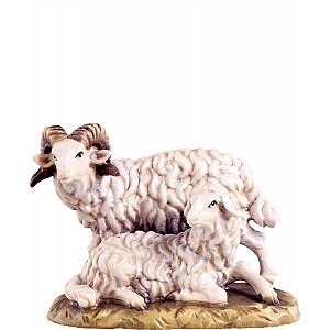 DE4049015 - Sheep