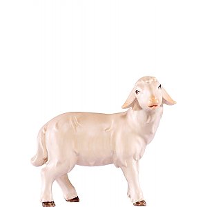 DE4551030 - Sheep standing
