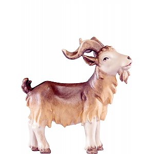 DE4573020 - Goat buck