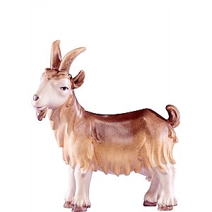 DE4574030 - Goat