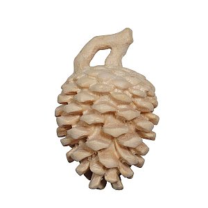 PE480001 - Swiss pine cones
