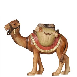 PE795171012 - PE Camel