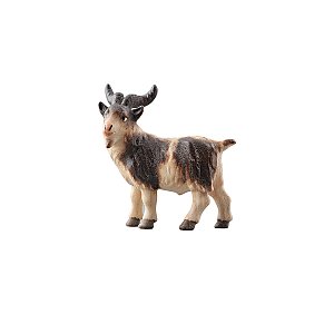 PE795210009 - PE Billy goat