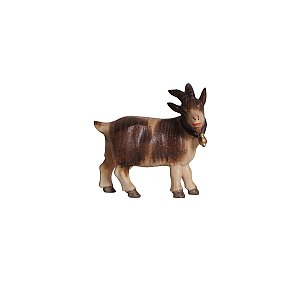 PE795215012 - PE Goat
