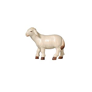 PE795261009 - PE Sheep