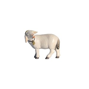 PE795265015 - PE Sheep