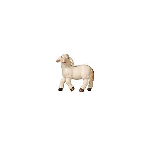 PE795287012 - PE Lamb