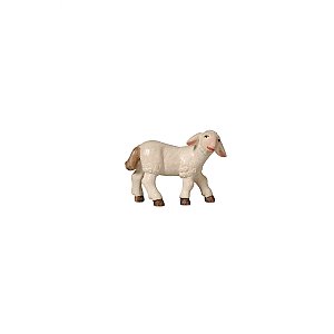 PE795288015 - PE Lamb