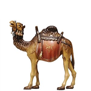 PE801170009,50 - KO Camel