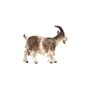 PE801192012 - KO Goat