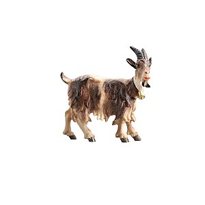 PE801215016 - KO Goat