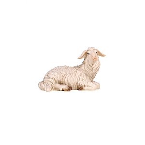 PE801253075 - KO Sheep