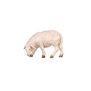 PE801256025 - KO Sheep