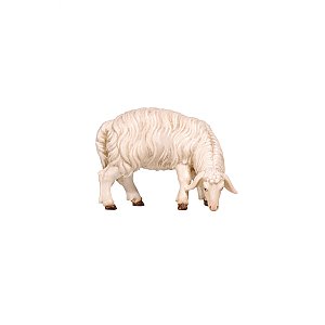 PE801257025 - KO Sheep