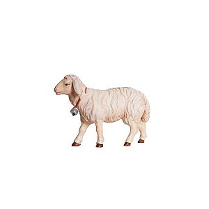 PE801258009,50 - KO Sheep