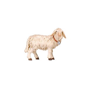 PE801264025 - KO Sheep