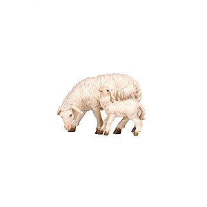 PE801274025 - KO Sheep