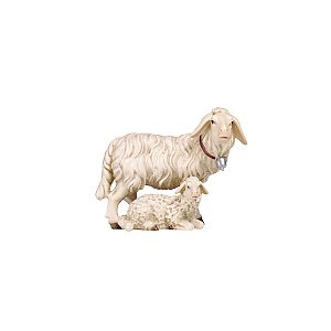 PE801276120 - KO Sheep