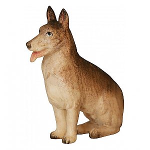 SA1833012 - Shepherd dog
