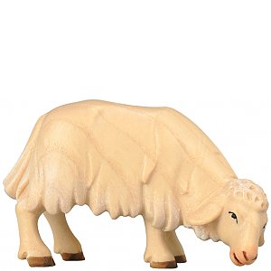 SA1850010 - Sheep grazing