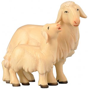 SA1855010 - Sheep with lamb