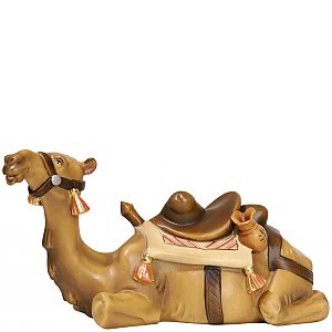 SA2281010 - Camel lying