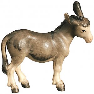 SA2410010 - Donkey