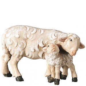 SA2470008 - Sheep with lamp