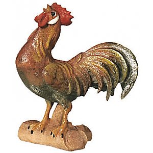 SA2560014 - Cock
