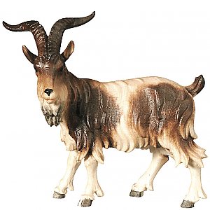 SA2590014 - Goat buck