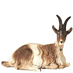 SA2600022 - Goat lying