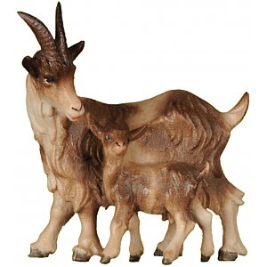 SA2602014 - Goat