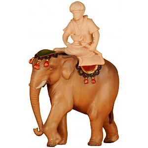 SA2610010 - Elephant (without Mahout sitting)