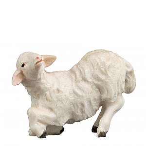 SA2968013 - Lamb