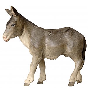SA2971017 - Donkey