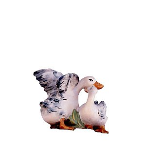 SO3028046 - Duck group