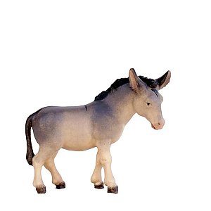 SO3031015 - Donkey