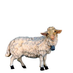 SO3042046 - Sheep