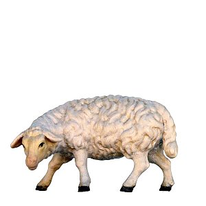 SO3043009 - Sheep