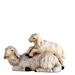 SO3141015 - Sheep