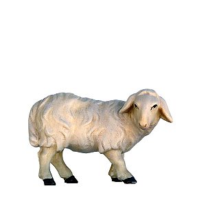 SO4041015 - Sheep