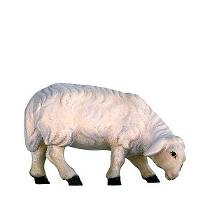 SO4043019 - Sheep