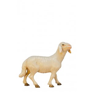SO101169 - Schaf stehend