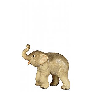 8030011 - Junger Elefant