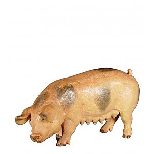 8092011 - Schwein