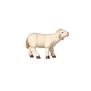 PE795260023 - PE Schaf stehend vorwertsschauend