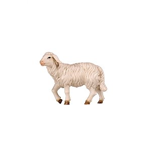 PE801259009,50 - KO Schaf stehend Kopf hoch